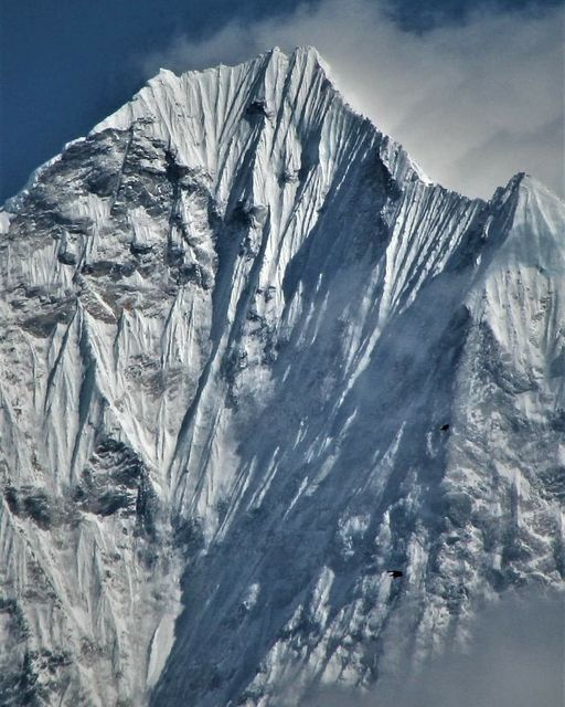 Kusum Kanguru - North Face