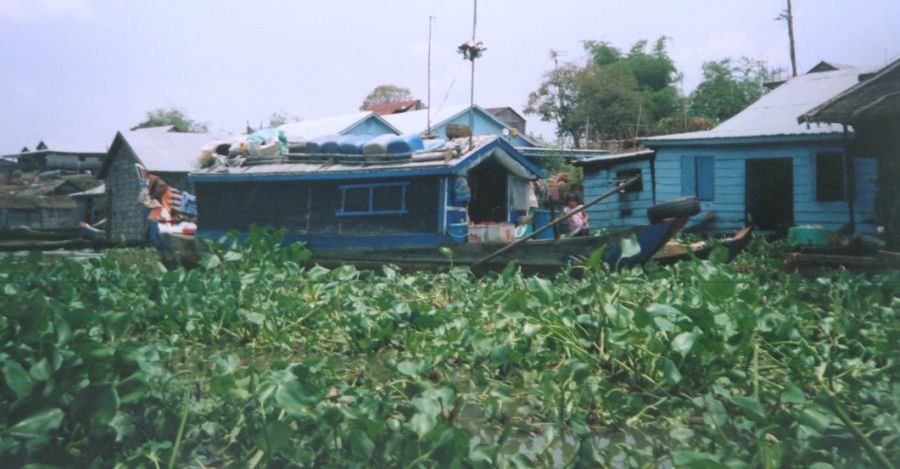 Dense weed infestation on Stung Sangker River in NW Cambodia