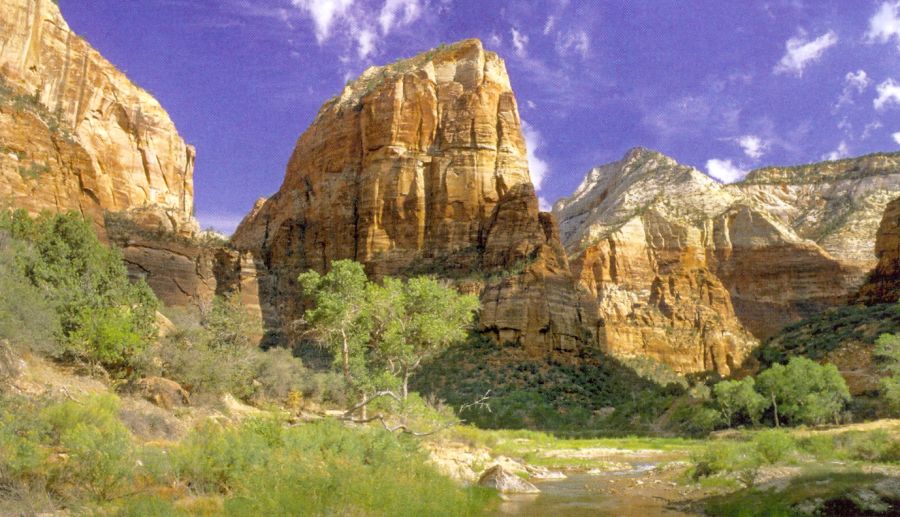 Zion National Park, Utah, USA