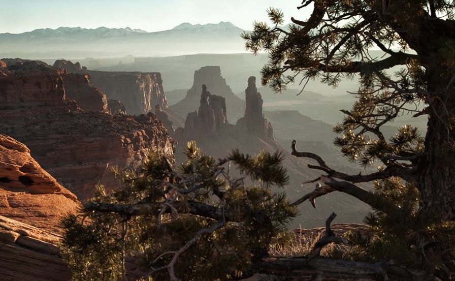 Overlook from Island in the Sky, Canyonlands