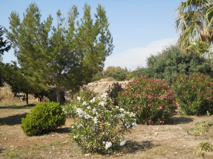 Tombs of the Kings archaeological site