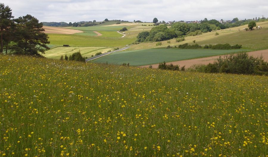 Landscape in the Eifel Region of Germany