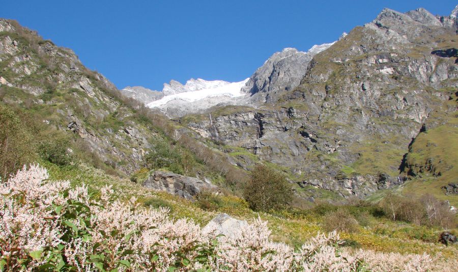 Valley of Flowers in the Indian Himalaya