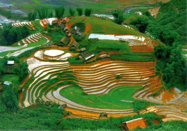 Rice Terraces in Lao Cai in Northern Vietnam