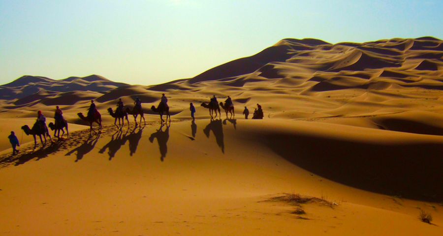 Camel Train at Erg Chebbi in the sub-sahara desert.