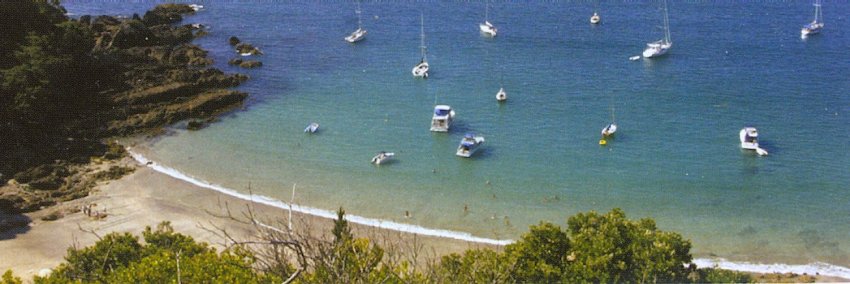 Waiheke Island in the Bay of Islands