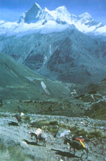 Portachuelo Pass ( 4767 metres ) in the Huayhuash region of the Andes of Peru