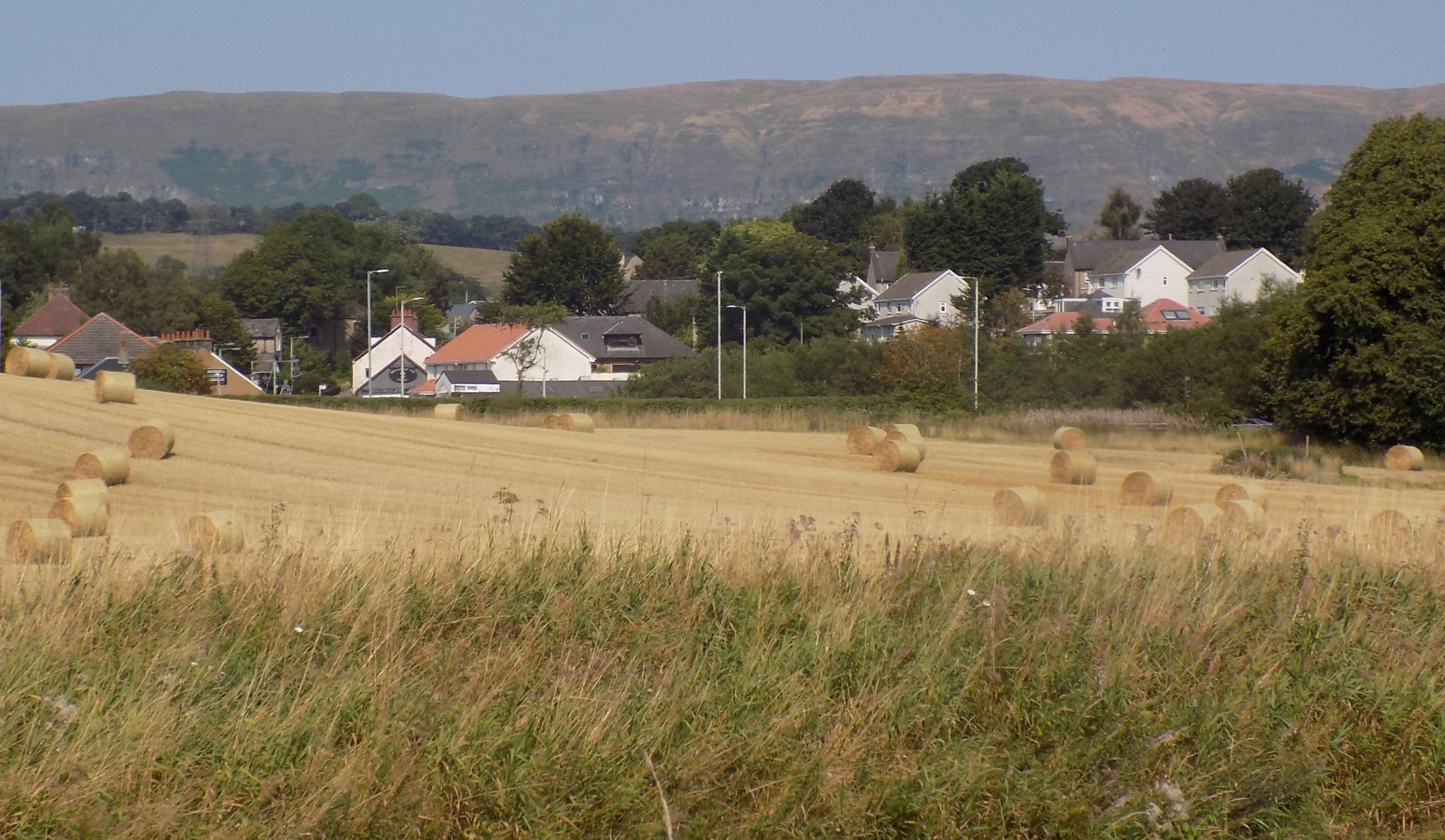 Campsie Fells above Torrance Village