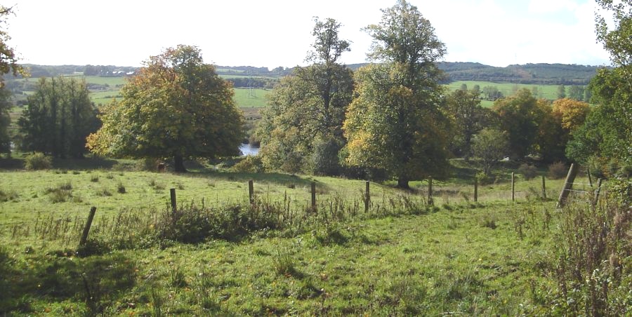 River Clyde from Dalzell Estate