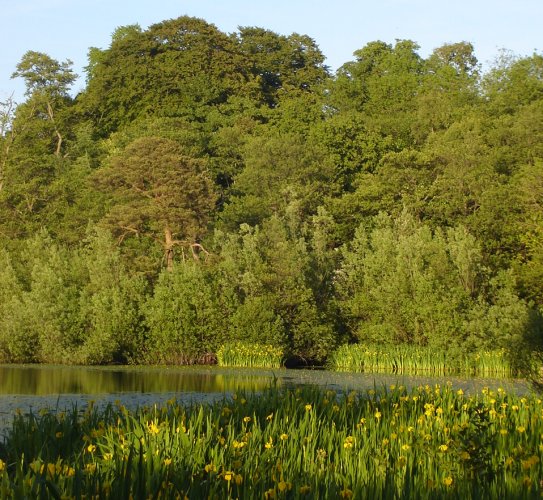 Kilmardinny Loch in Bearsden