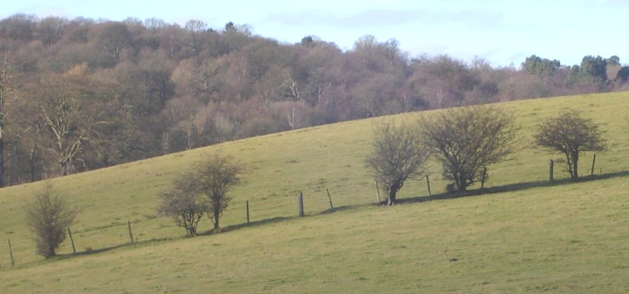 Mains Estate beneath the Campsie Fells