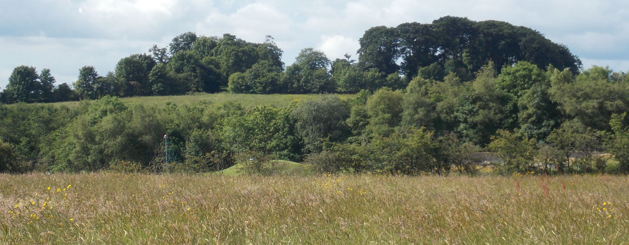 Castle Hill beyond Bonnaughton Park