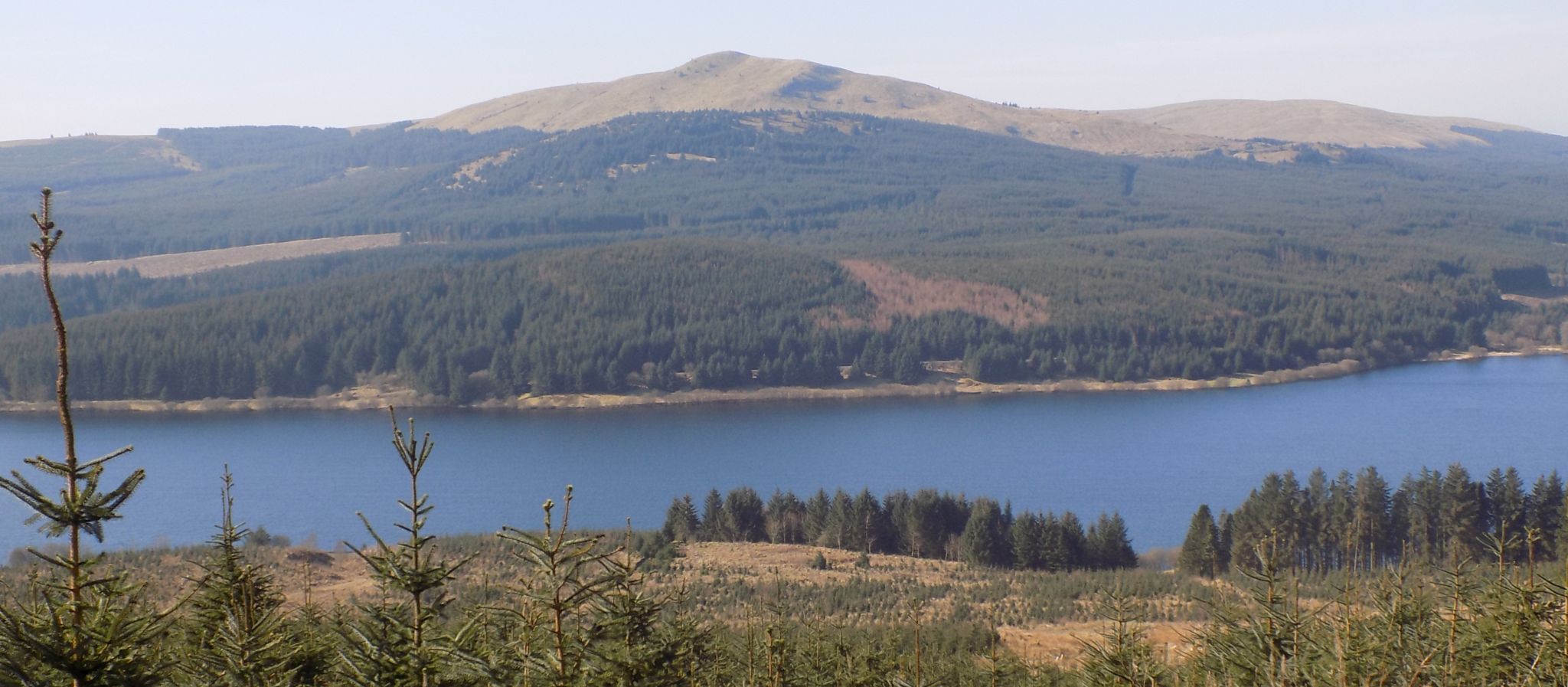 Meikle Bin above Carron Valley Reservoir