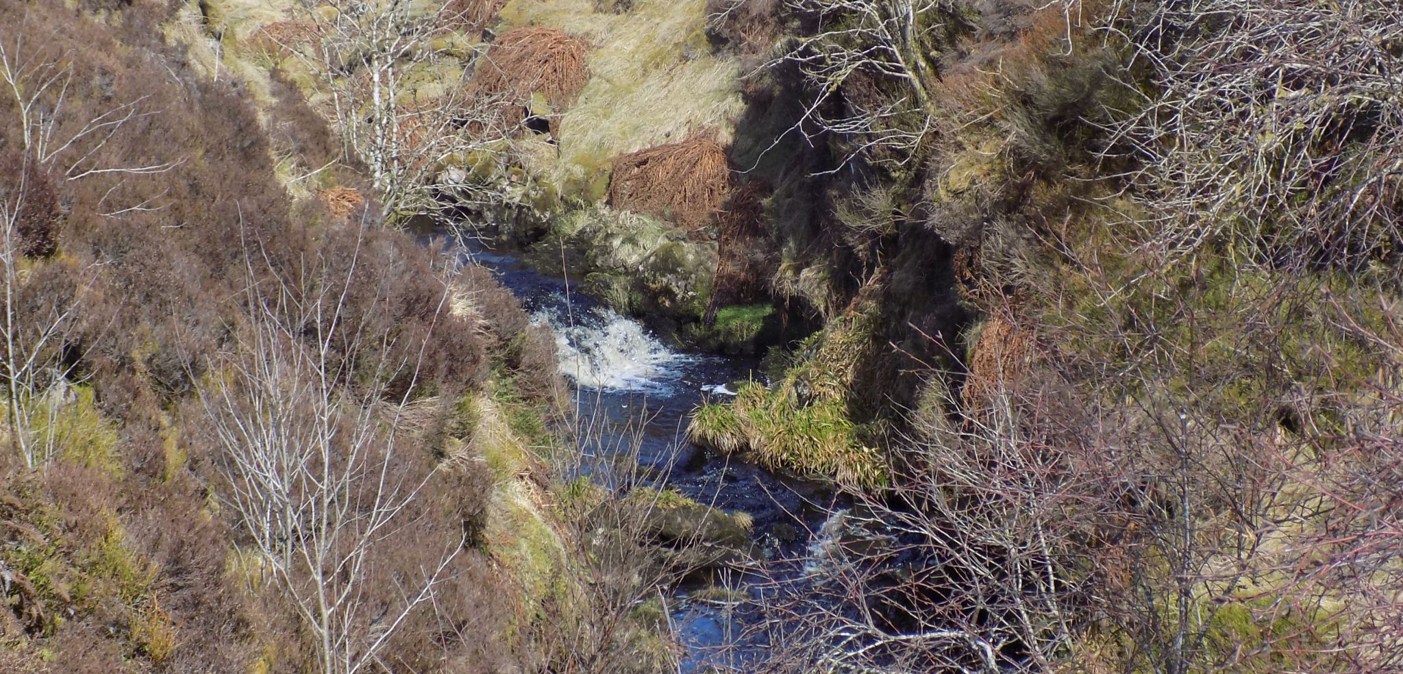 Earls Burn from Earlsburn Reservoir