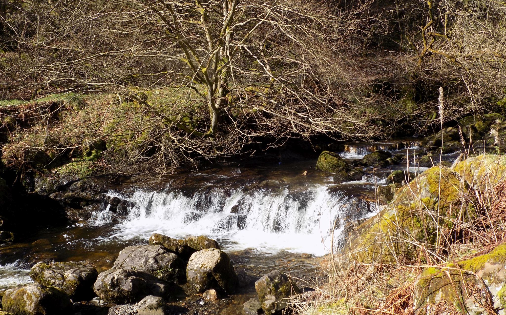 Lady's Linn on Kirk Burn in Campsie Glen