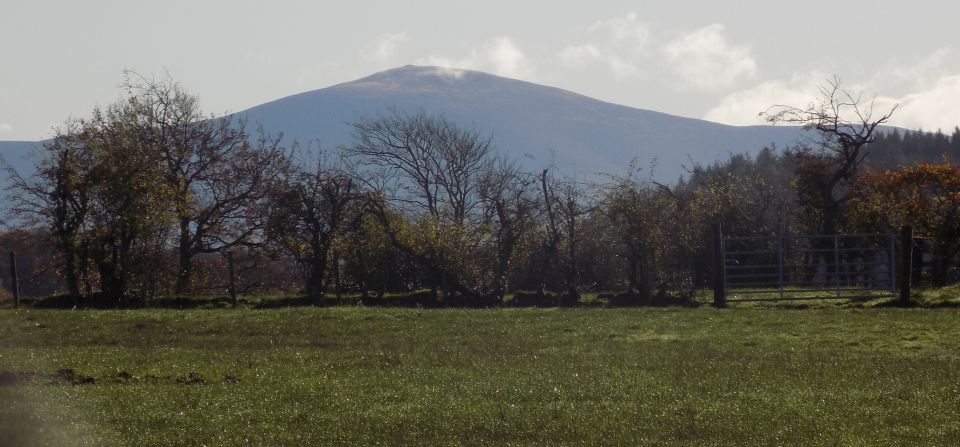 Tinto Hill