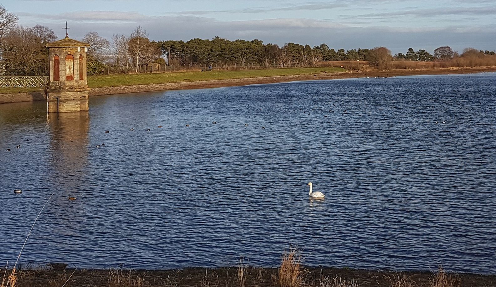 Waulkmill Glen Reservoir