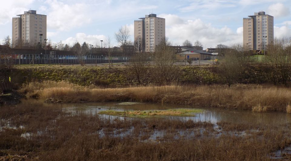 High Rise tenement buildings from Cleddans Burn trail