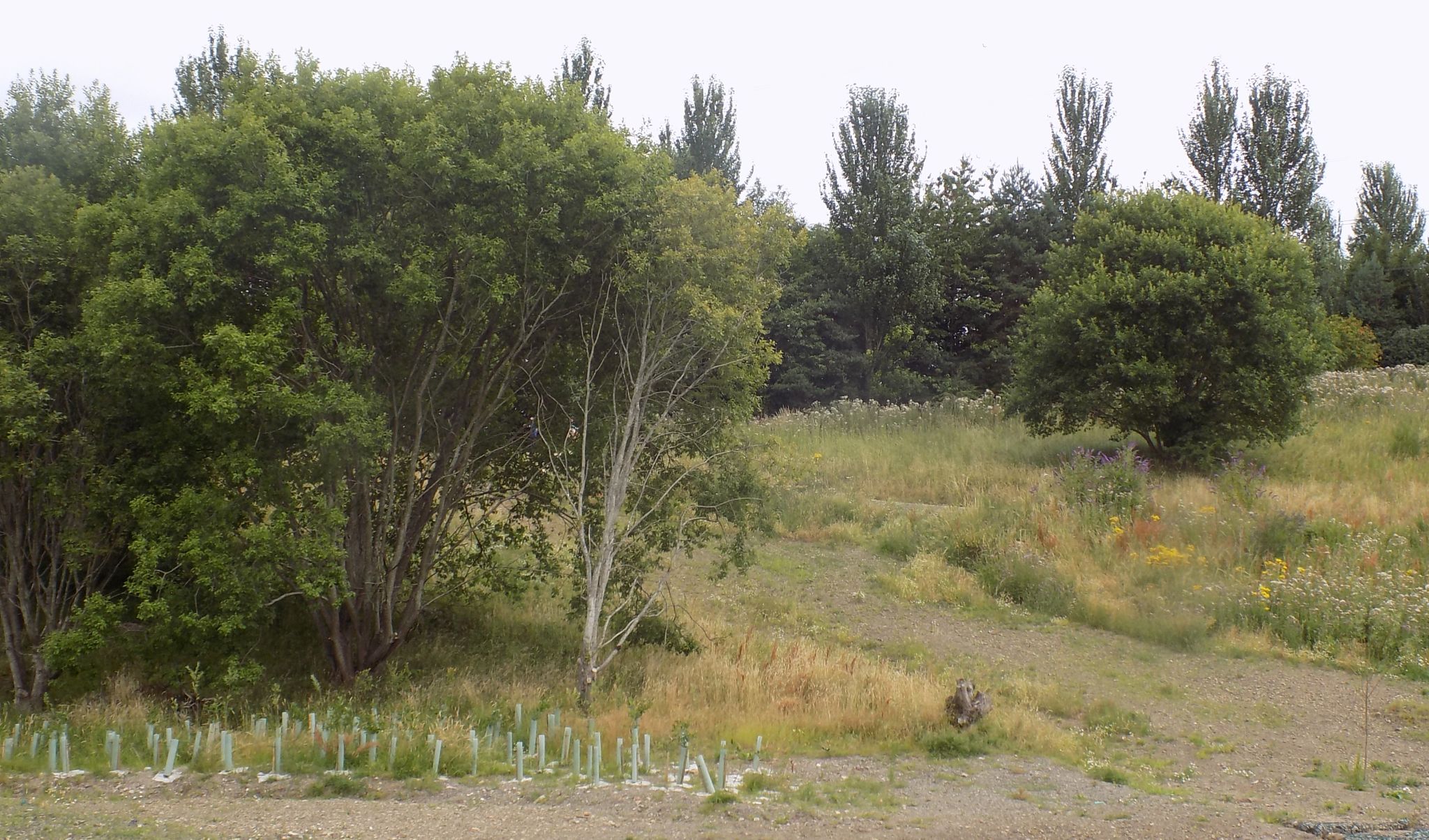 Claypits Nature & Wildlife Reserve