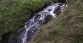 DSCF5042.JPG