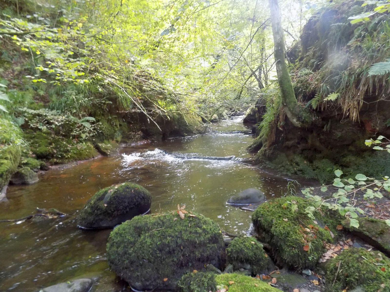 Waterfall in the Hole of Sneith