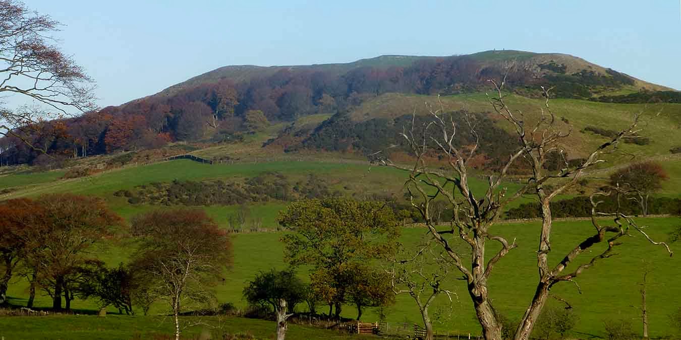 Cockleroy Hill above Linlithgow from the Loch