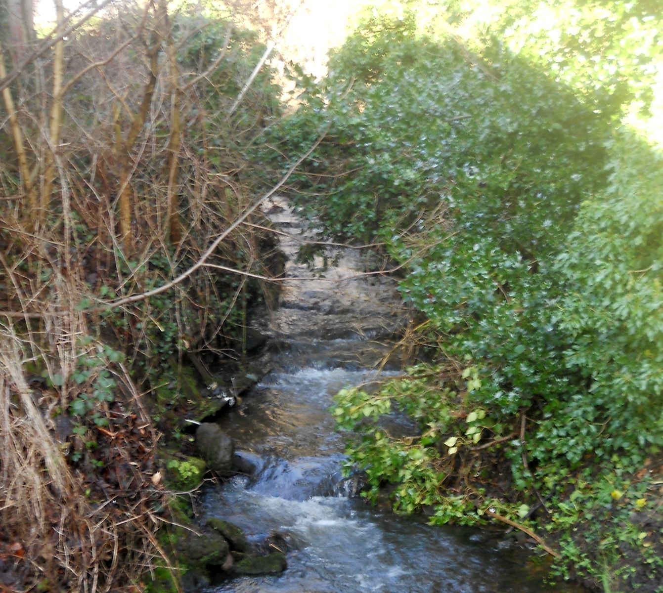 Manse Burn at New Kilpatrick Church in Bearsden