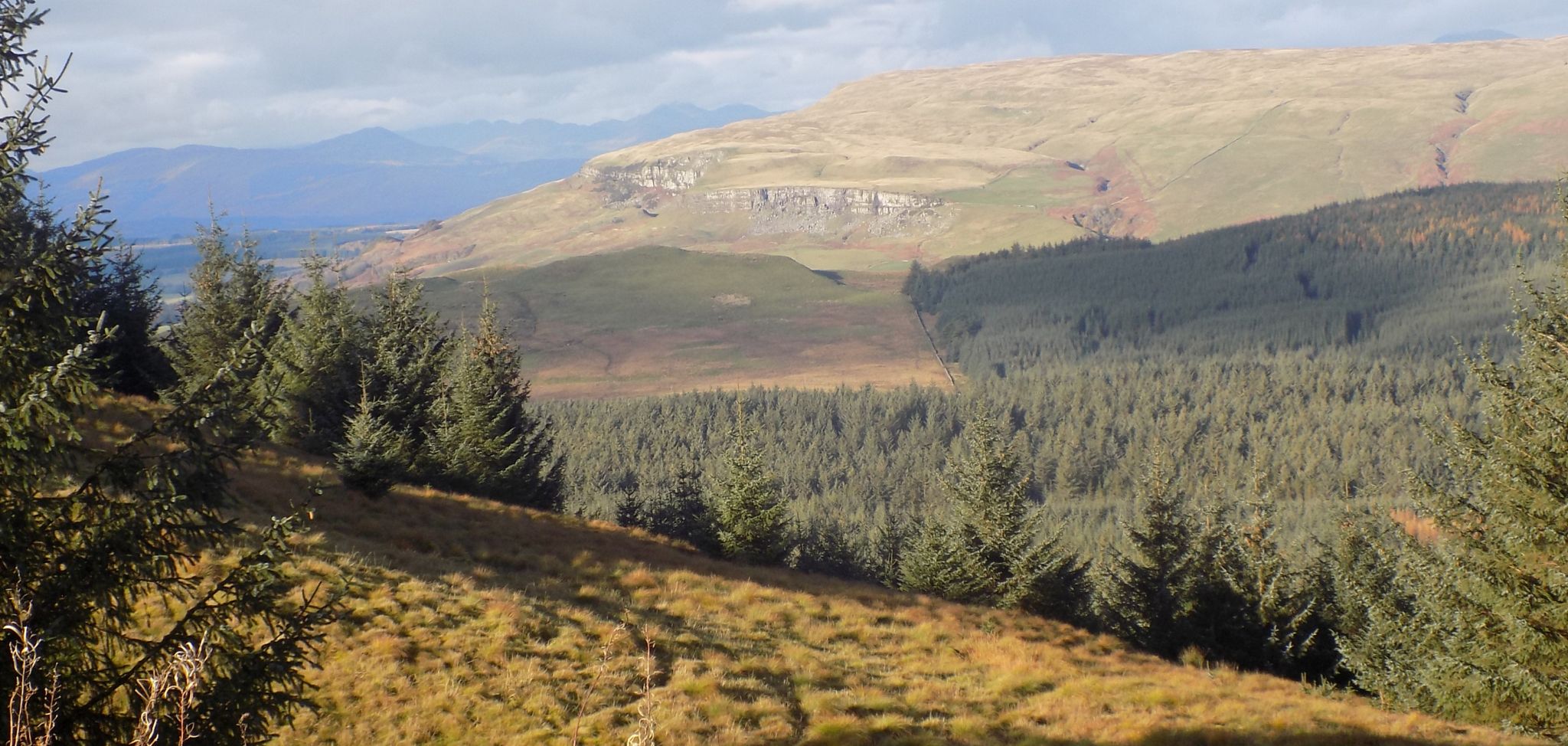 Stronend in the Gargunnock Hills from Meikle Bin