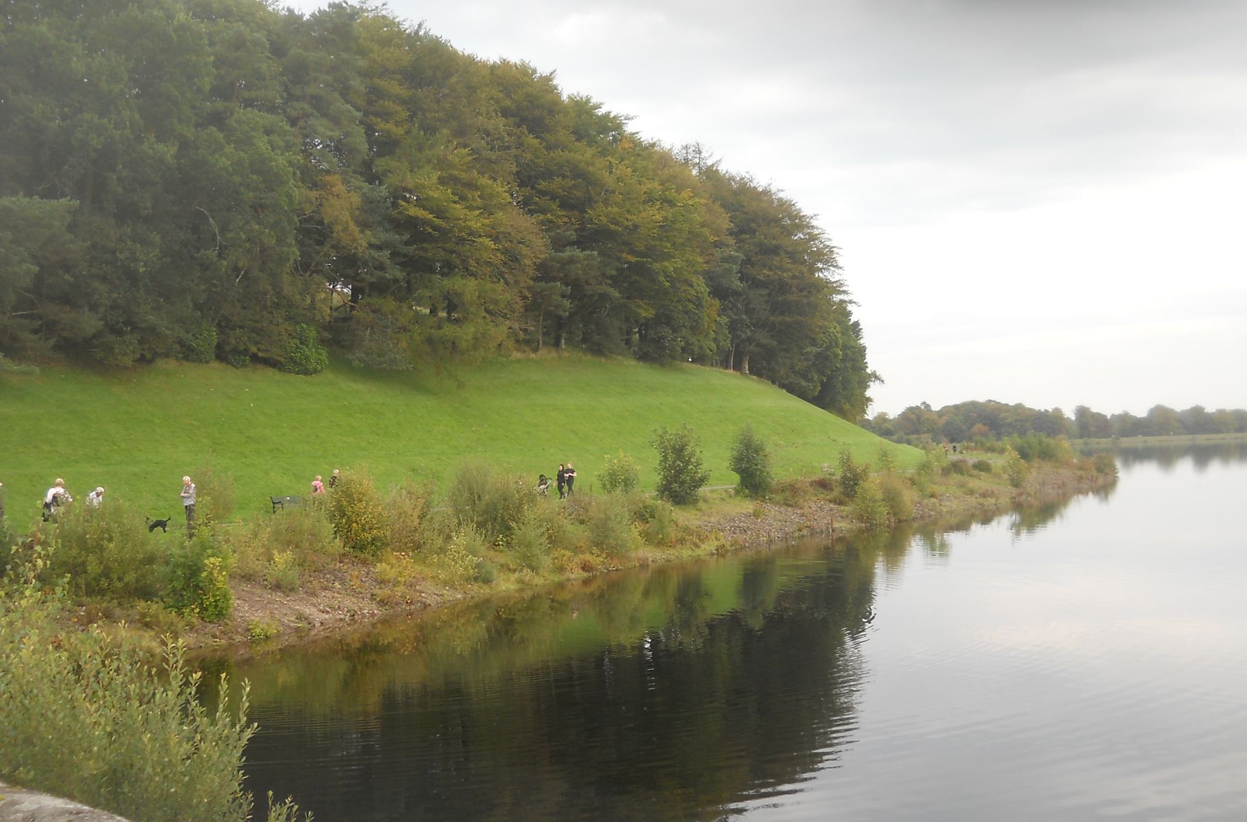 Trees around Craigmaddie Reservoir