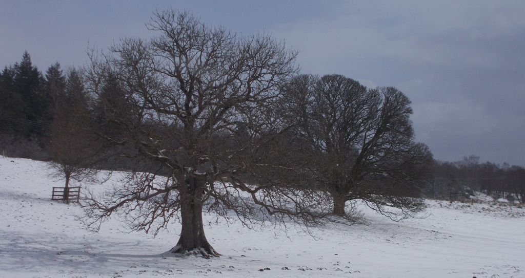 Mugdock Country Park