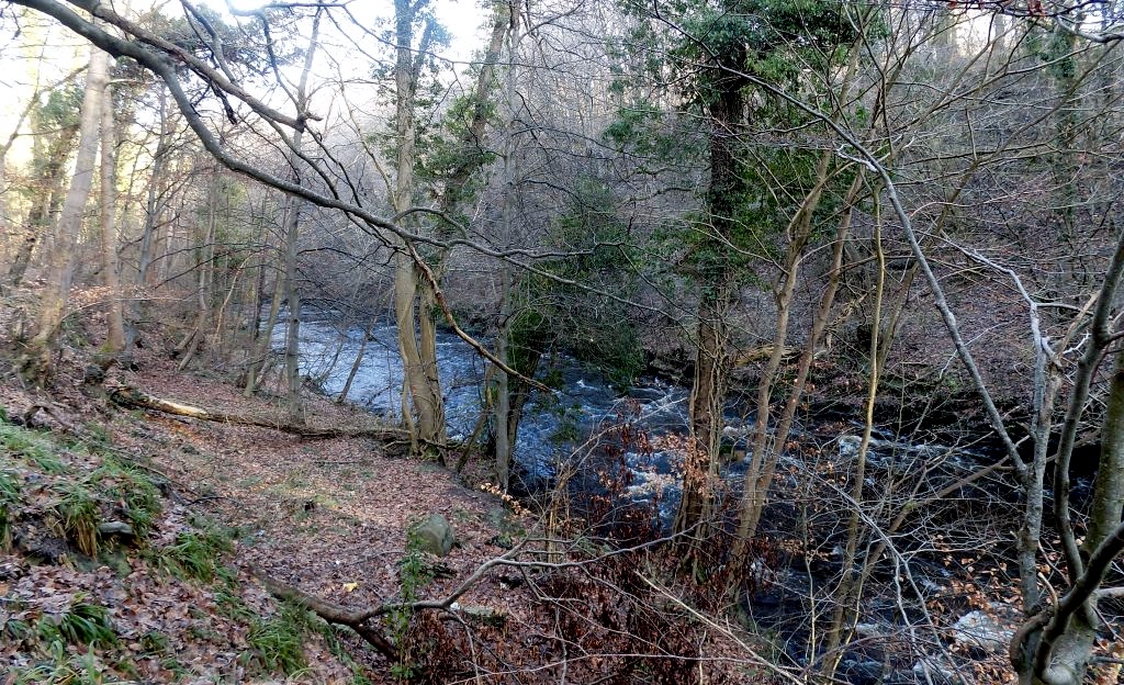 South Calder Water in Strathclyde Country Park