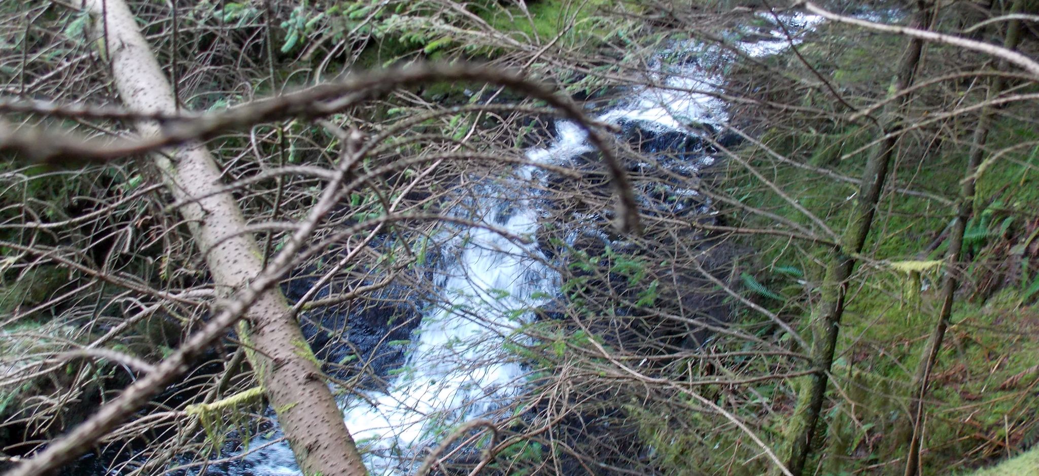 Bin Burn above Peggie's Spout