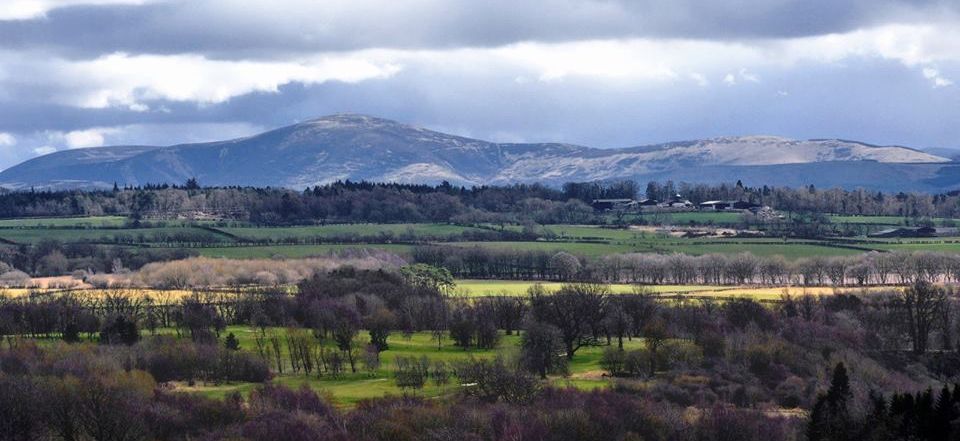 Tinto Hill