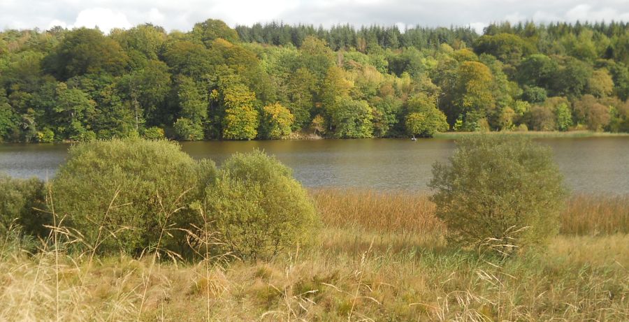 Craigallian Loch on the West Highland Way at Carbeth