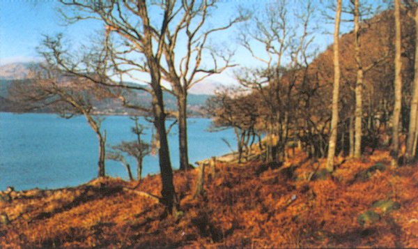 The West Highland Way _ Loch Lomond near Rowchoish