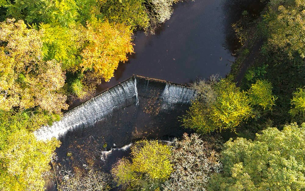 Weir in the Water of Leith