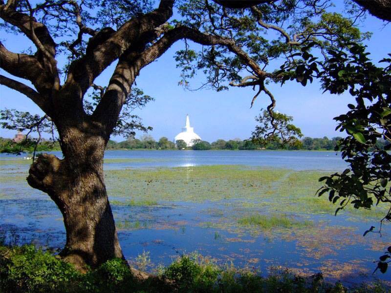 Ruvanvelisaya Dagoba across Basawakkulama