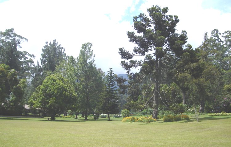 Victoria Park in Nuwara Eliya in the Hill Country of Sri Lanka