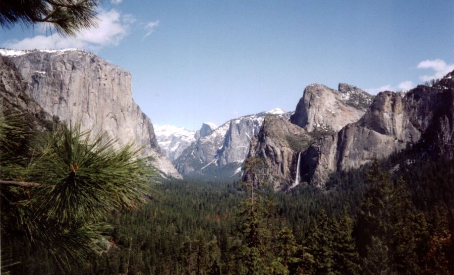 Photo Gallery and Accounts of a springtime visit to Sequoia and Yosemite National Parks