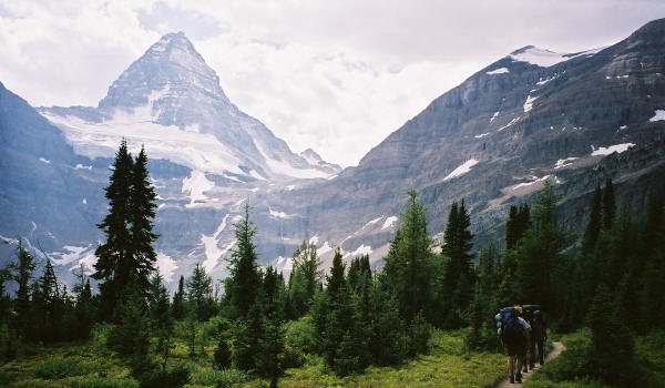 Hiking on the trail near Mount Assiniboine, Assiniboine Provincial Park, British Columbia, Canada