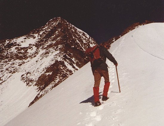 Ascent to Wilder Pfaff in the Stubai Alps 