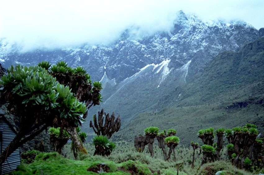 Rwenzori Range